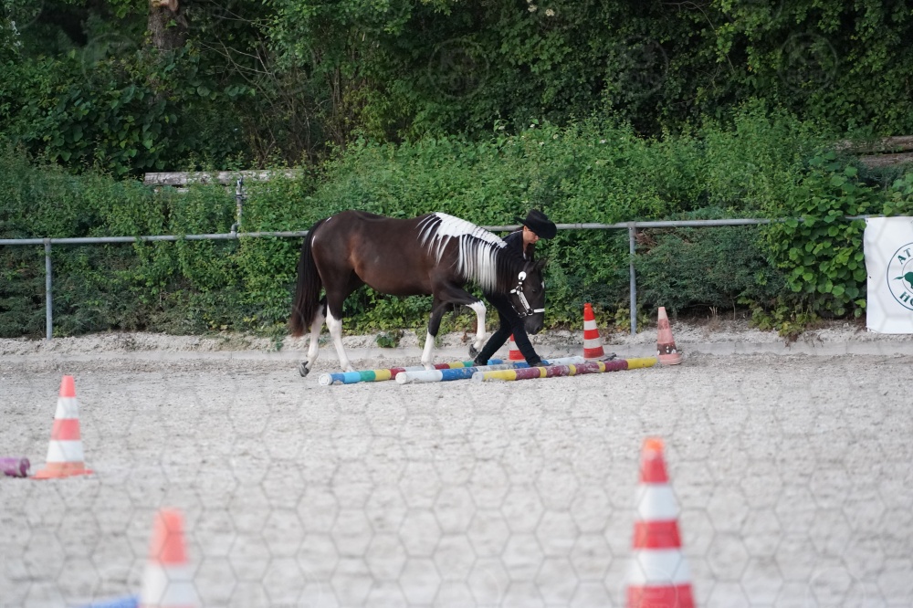 s_A9_05385.jpg